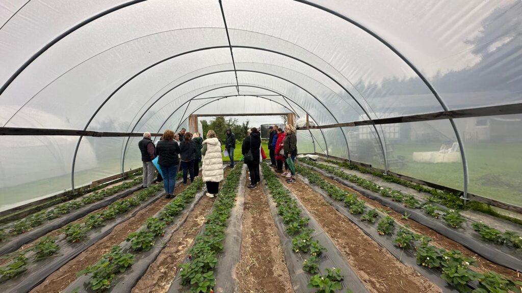 Pieredzes apmaiņas brauciens stiprina augkopības saimniecību konkurētspēju unPieredzes apmaiņas brauciens stiprina augkopības saimniecību konkurētspēju un ilgtspējīgu attīstību