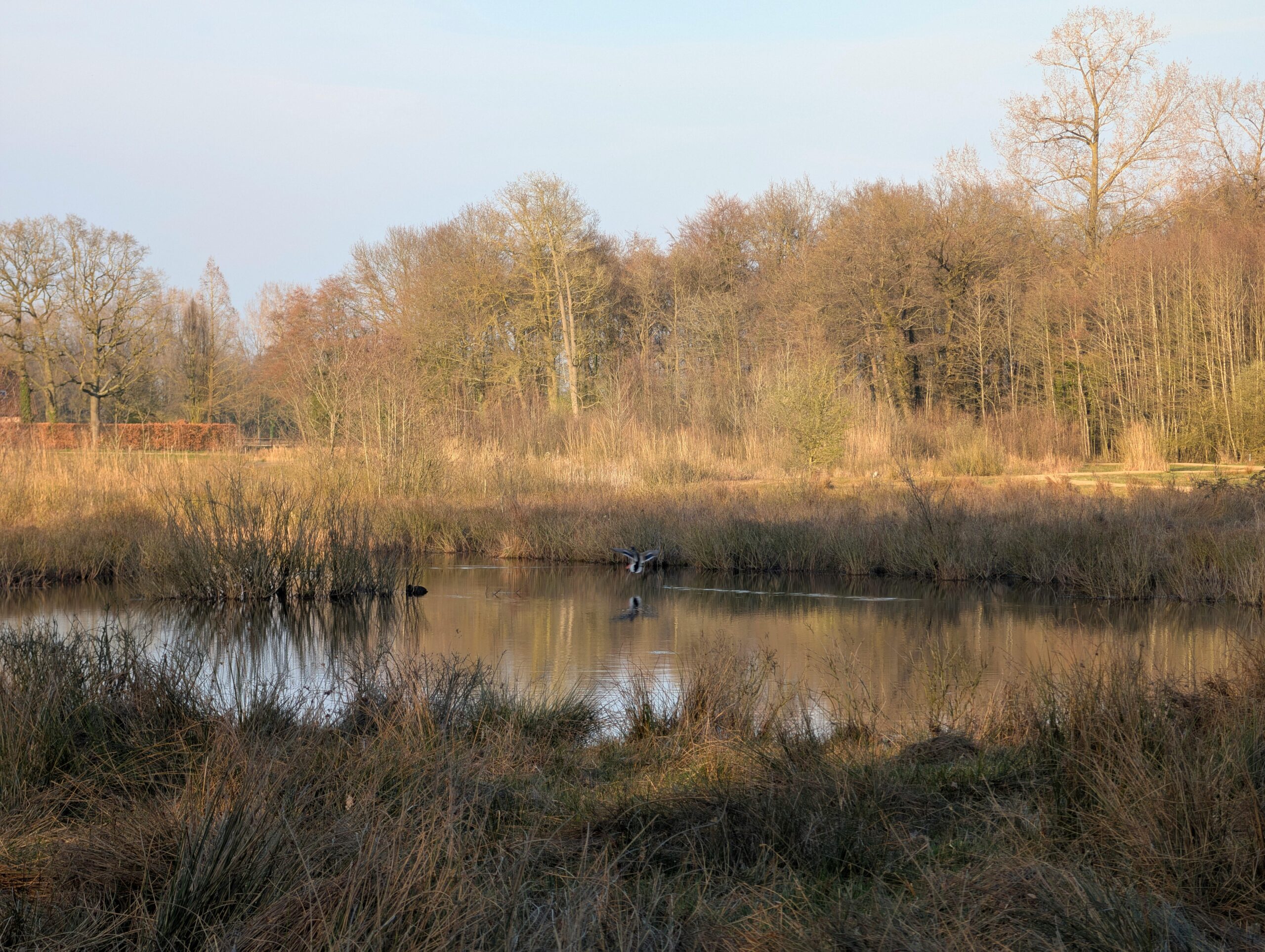 Zivju dīķis kā mazdārziņš: Seminārs pašpatēriņa zivju audzētājiem
